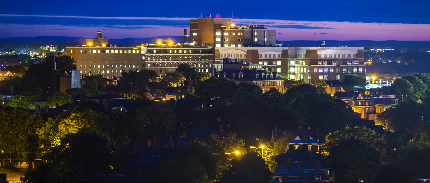 A nighttime cityscape featuring illuminated buildings, trees, and rooftops under a twilight sky.